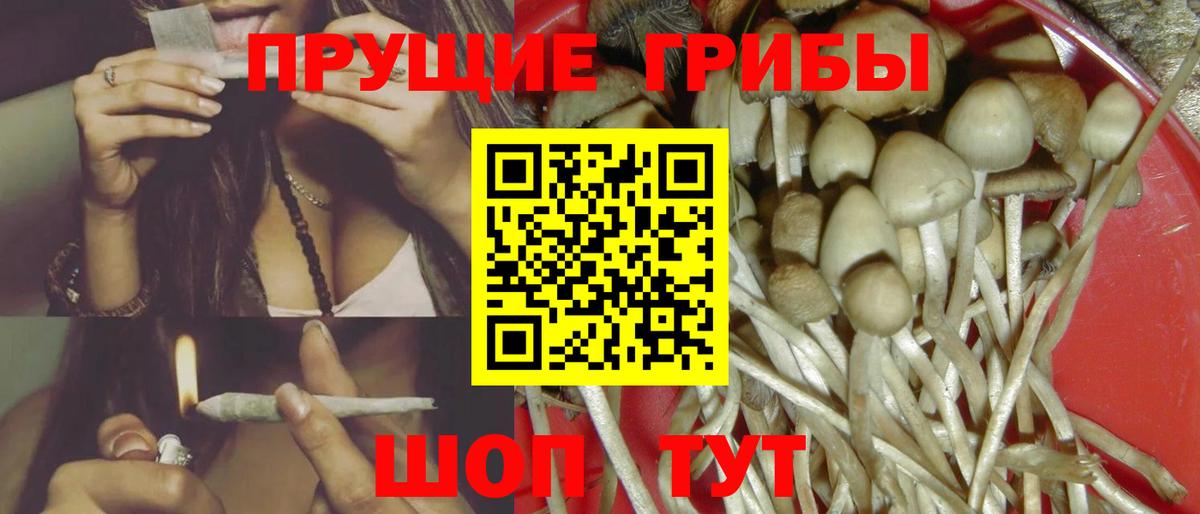 Галлюциногенные грибы мухоморы  Вход с VPN  Малоярославец 